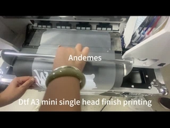 Imprimante DTF de 13 pouces modèle A3 Mini avec four à mélangeuse d'encre en poudre CMYKW et deux têtes XP600