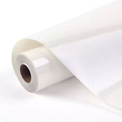 Film DTF PET 30 cm jet d'encre numérique film d'imprimante à froid / chaud pour le transfert de chaleur vinyle 11,8 pouces vêtements